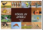 Vögel in Afrika - Magie der Farben (Tischkalender 2024 DIN A5 quer), CALVENDO Monatskalender