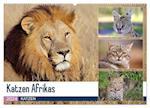 Katzen Afrikas (Wandkalender 2024 DIN A2 quer), CALVENDO Monatskalender