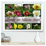 Zauber der Päonien-Blüte (hochwertiger Premium Wandkalender 2024 DIN A2 quer), Kunstdruck in Hochglanz