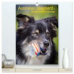 Australian Shepherd ¿ Mit dem Aussie unterwegs (hochwertiger Premium Wandkalender 2024 DIN A2 hoch), Kunstdruck in Hochglanz