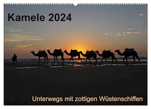 Kamele 2024 - Unterwegs mit zottigen Wüstenschiffen (Wandkalender 2024 DIN A2 quer), CALVENDO Monatskalender