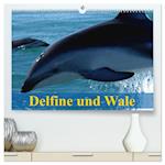Delfine und Wale (hochwertiger Premium Wandkalender 2024 DIN A2 quer), Kunstdruck in Hochglanz