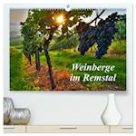 Weinberge im Remstal (hochwertiger Premium Wandkalender 2024 DIN A2 quer), Kunstdruck in Hochglanz