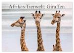 Afrikas Tierwelt: Giraffen (Wandkalender 2024 DIN A2 quer), CALVENDO Monatskalender