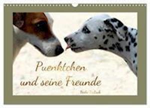 Pünktchen und seine Freunde (Wandkalender 2024 DIN A3 quer), CALVENDO Monatskalender