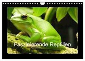 Faszinierende Reptilien (Wandkalender 2024 DIN A4 quer), CALVENDO Monatskalender