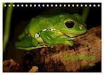 Amphibien (Tischkalender 2024 DIN A5 quer), CALVENDO Monatskalender