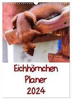 Eichhörnchen Planer 2024 (Wandkalender 2024 DIN A3 hoch), CALVENDO Monatskalender