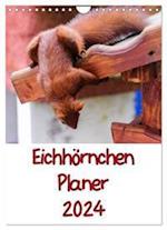 Eichhörnchen Planer 2024 (Wandkalender 2024 DIN A4 hoch), CALVENDO Monatskalender