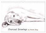 Charcoal Drawings (Wandkalender 2024 DIN A4 quer), CALVENDO Monatskalender