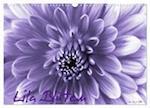 Lila Blüten (Wandkalender 2024 DIN A3 quer), CALVENDO Monatskalender