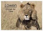 Löwen - Könige der Tiere (Wandkalender 2024 DIN A4 quer), CALVENDO Monatskalender