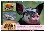Tierische Schweinereien (Wandkalender 2024 DIN A2 quer), CALVENDO Monatskalender