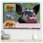 Tierische Schweinereien (hochwertiger Premium Wandkalender 2024 DIN A2 quer), Kunstdruck in Hochglanz