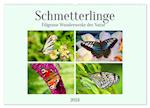 Schmetterlinge - Filigrane Wunderwerke der Natur (Wandkalender 2024 DIN A2 quer), CALVENDO Monatskalender