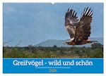 Greifvögel - wild und schön (Wandkalender 2024 DIN A2 quer), CALVENDO Monatskalender