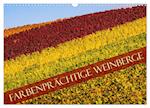Farbenprächtige Weinberge (Wandkalender 2024 DIN A3 quer), CALVENDO Monatskalender
