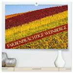 Farbenprächtige Weinberge (hochwertiger Premium Wandkalender 2024 DIN A2 quer), Kunstdruck in Hochglanz