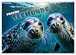 Freche Seehunde (Wandkalender 2024 DIN A2 quer), CALVENDO Monatskalender