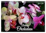 Beliebte Orchideen (Wandkalender 2025 DIN A4 quer), CALVENDO Monatskalender