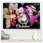 Beliebte Orchideen (hochwertiger Premium Wandkalender 2025 DIN A2 quer), Kunstdruck in Hochglanz