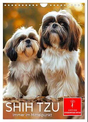 Shih Tzu - immer im Mittelpunkt (Wandkalender 2025 DIN A4 hoch), CALVENDO Monatskalender