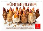 Hühner Alarm (Wandkalender 2025 DIN A4 quer), CALVENDO Monatskalender