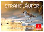 Strandläufer - immer flink unterwegs (Wandkalender 2025 DIN A4 quer), CALVENDO Monatskalender