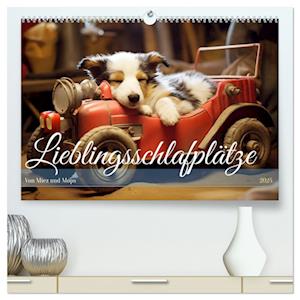 Lieblingsschlafplätze (hochwertiger Premium Wandkalender 2025 DIN A2 quer), Kunstdruck in Hochglanz