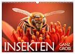 Insekten ganz gross (Wandkalender 2025 DIN A3 quer), CALVENDO Monatskalender