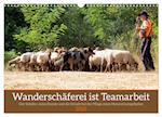 Wanderschäferei ist Teamarbeit (Wandkalender 2025 DIN A3 quer), CALVENDO Monatskalender