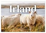 Irland - Malerische Landschaften (Wandkalender 2025 DIN A2 quer), CALVENDO Monatskalender