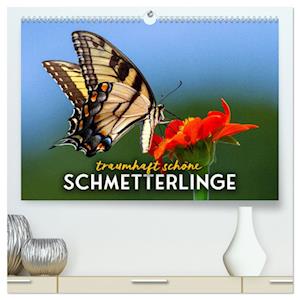 Traumhaft schöne Schmetterlinge (hochwertiger Premium Wandkalender 2025 DIN A2 quer), Kunstdruck in Hochglanz