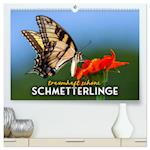 Traumhaft schöne Schmetterlinge (hochwertiger Premium Wandkalender 2025 DIN A2 quer), Kunstdruck in Hochglanz