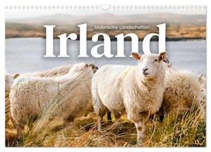 Irland - Malerische Landschaften (Wandkalender 2025 DIN A3 quer), CALVENDO Monatskalender