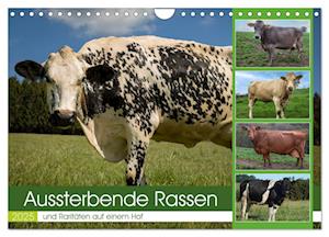 Aussterbende Rassen und Raritäten (Wandkalender 2025 DIN A4 quer), CALVENDO Monatskalender