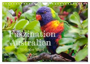 Faszination Australien - Welt der Vögel (Wandkalender 2025 DIN A4 quer), CALVENDO Monatskalender