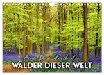 Eine Reise durch die Wälder dieser Welt (Wandkalender 2025 DIN A4 quer), CALVENDO Monatskalender