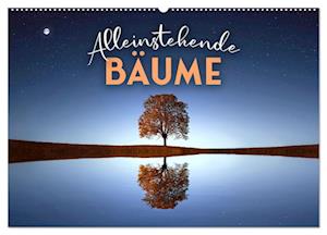 Alleinstehende Bäume (Wandkalender 2025 DIN A2 quer), CALVENDO Monatskalender