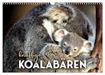 Knuffige Koalabären (Wandkalender 2025 DIN A3 quer), CALVENDO Monatskalender