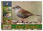 Der Birder (Wandkalender 2025 DIN A2 quer), CALVENDO Monatskalender