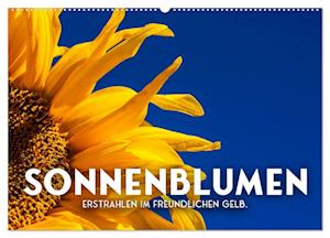 Sonnenblumen - Erstrahlen im freundlichen Gelb. (Wandkalender 2025 DIN A2 quer), CALVENDO Monatskalender