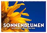 Sonnenblumen - Erstrahlen im freundlichen Gelb. (Wandkalender 2025 DIN A2 quer), CALVENDO Monatskalender