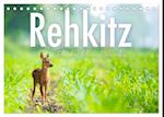 Rehkitz - Flinke kleine Bambis. (Tischkalender 2025 DIN A5 quer), CALVENDO Monatskalender