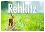 Rehkitz - Flinke kleine Bambis. (Wandkalender 2025 DIN A3 quer), CALVENDO Monatskalender