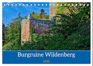 Burg Wildenberg (Tischkalender 2025 DIN A5 quer), CALVENDO Monatskalender
