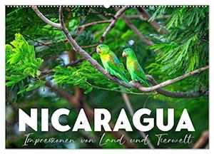 Nicaragua - Impressionen von Land und Tierwelt. (Wandkalender 2025 DIN A2 quer), CALVENDO Monatskalender