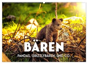 Bären - Pandas, Grizzlybären und Co. (Wandkalender 2025 DIN A2 quer), CALVENDO Monatskalender