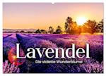 Lavendel - Die violette Wunderblume (Wandkalender 2025 DIN A2 quer), CALVENDO Monatskalender