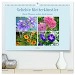 Geliebte Kletterkünstler (hochwertiger Premium Wandkalender 2025 DIN A2 quer), Kunstdruck in Hochglanz